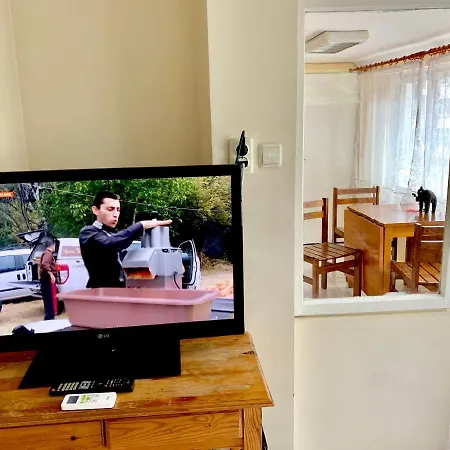 Jackie House 게스트하우스 4*